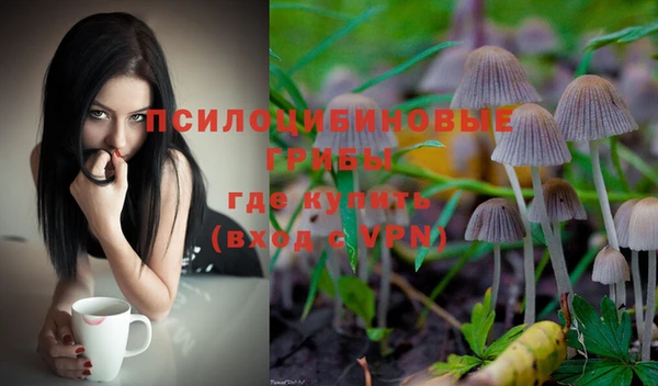 прущая мука Арсеньев